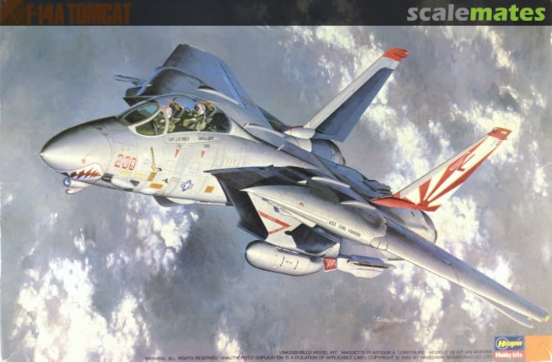 Boxart F-14A Tomcat 04037 Hasegawa