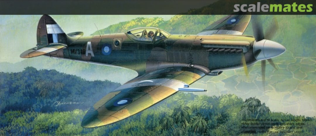 Boxart Spitfire FR MK.14E Fighter Recon 74006 Fujimi