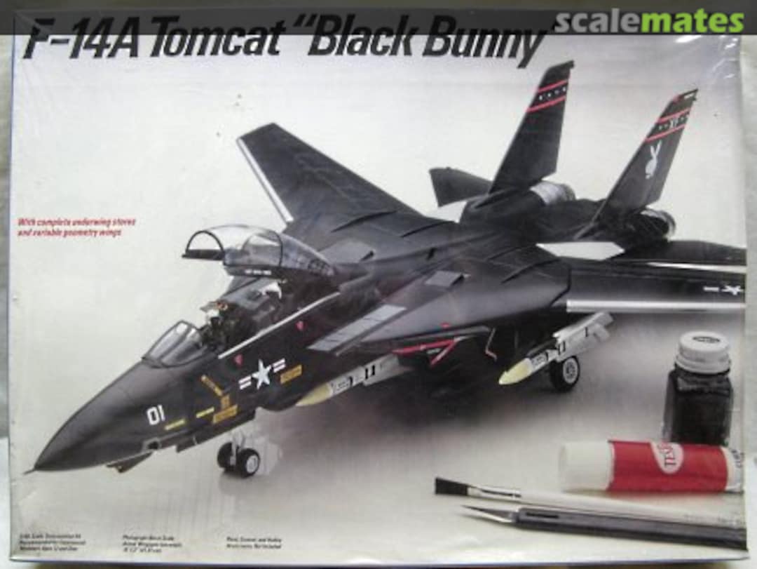 Boxart F-14A Tomcat 328 Testors