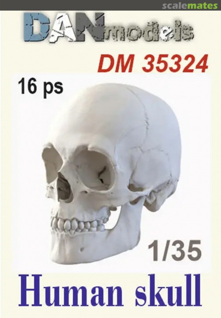 Boxart Human Skull (16 pcs) DM35324 DANmodels