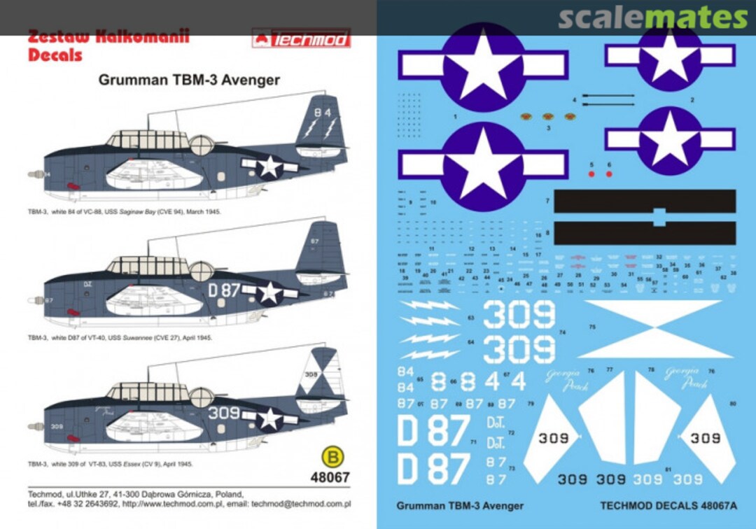 Boxart Grumman TBM-3 Avenger 48067 Techmod