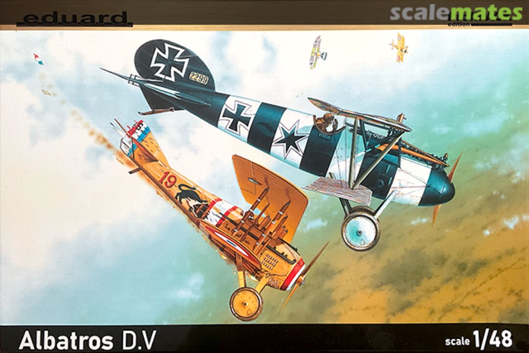 Boxart Albatros D.V 8113 Eduard