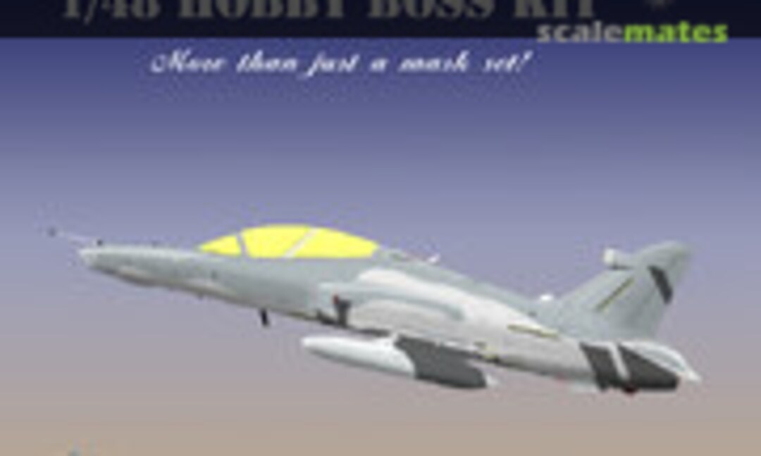 1:48 BAe Hawk 125/T2/T1 Paint Masks (Ronin Decals RPM-042)