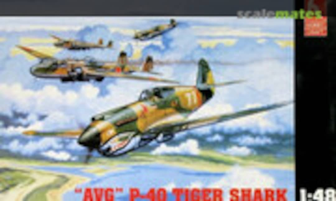 1:48 &quot;AVG&quot; P-40 Tiger Shark (Hobbycraft HC1451)