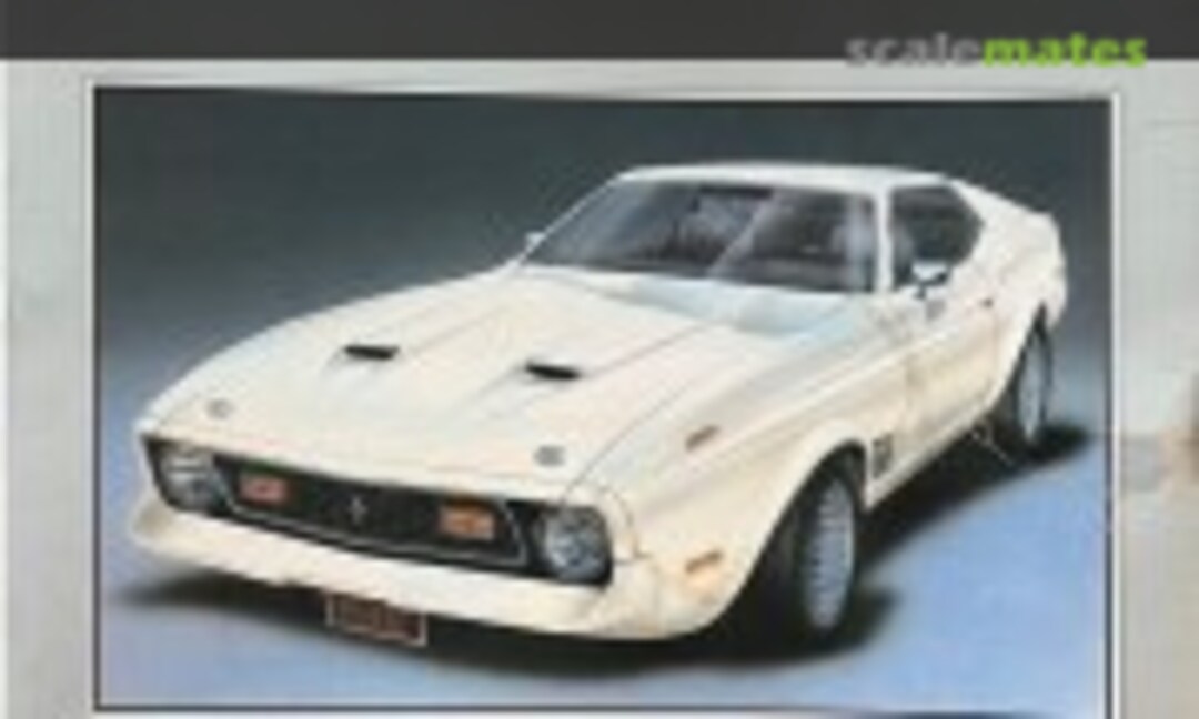 1:24 '71 Mustang Mach-1 (ARII 31032-1500)