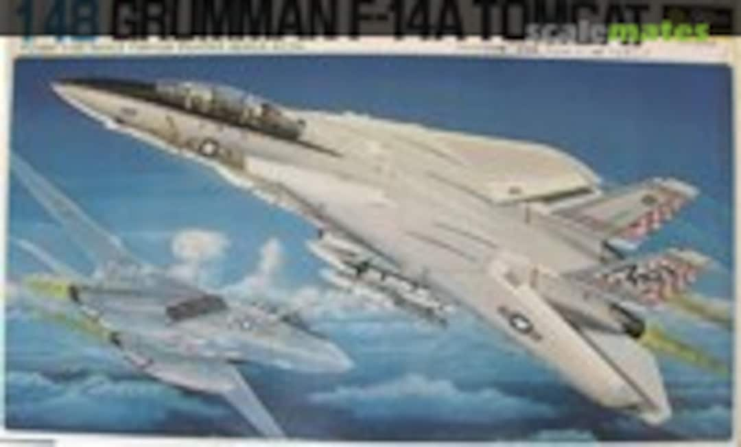 1:48 Grumman F-14A Tomcat (Fujimi 5A29)