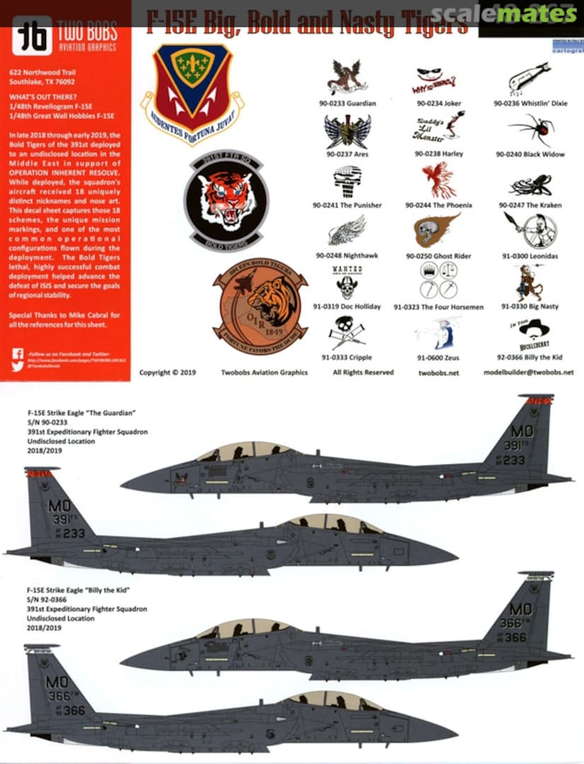 Boxart F-15E Big, Bold and Nasty Tigers 48-267 TwoBobs Aviation Graphics