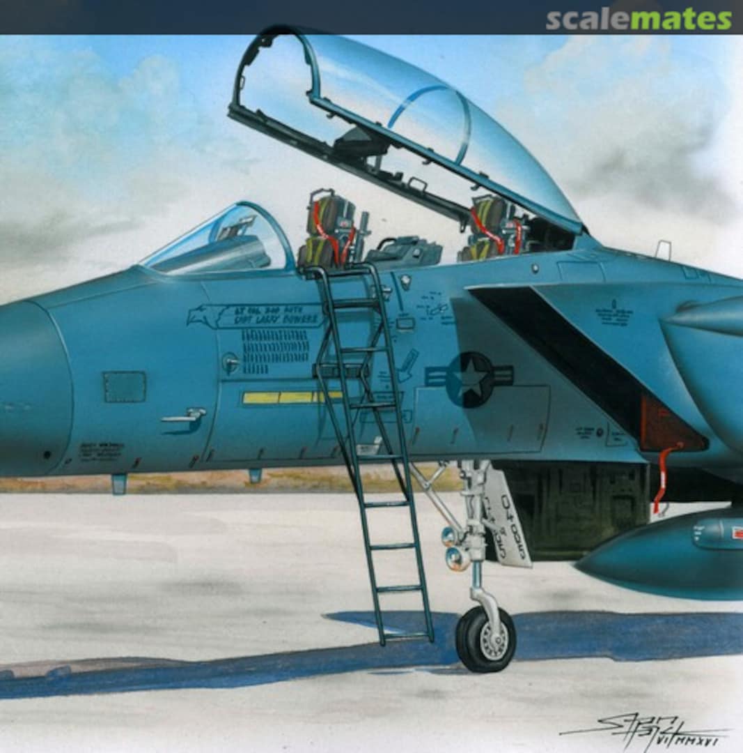 Boxart Ladder for McDonnell F-15 Eagle AL4060 PlusModel