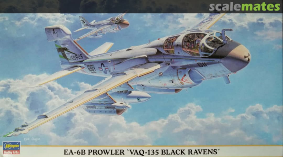 Boxart EA-6B Prowler `VAQ-135 Black Ravens´ 00749 Hasegawa