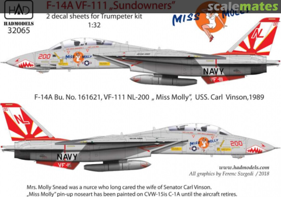 Boxart F-14A VF-111 'Sundowners' - ”Miss Molly” 32065 HADmodels 