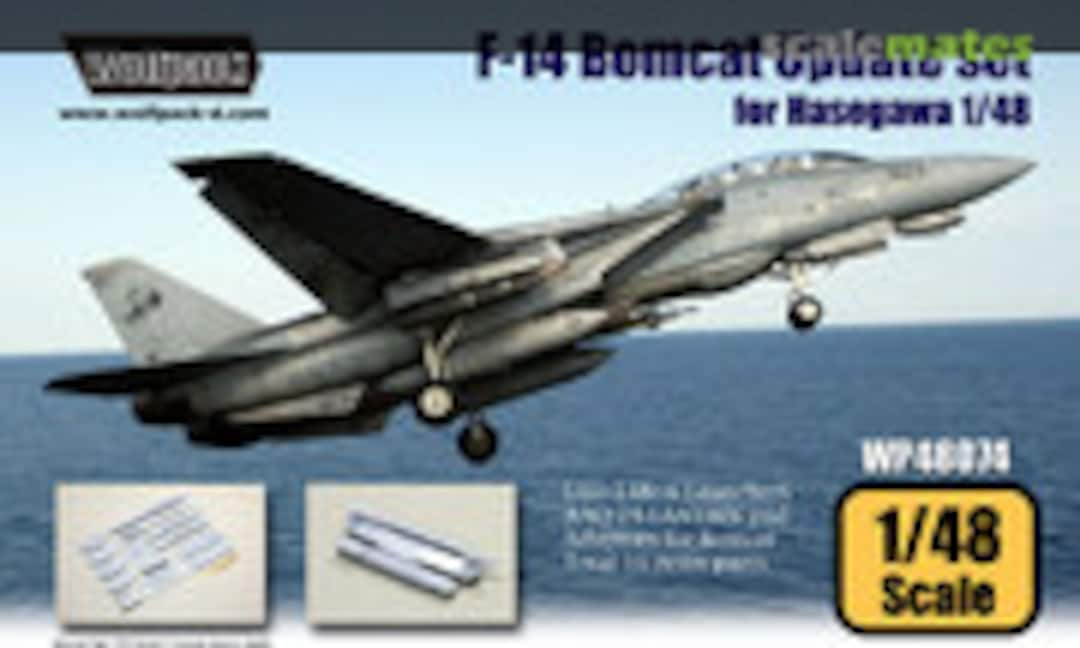 1:48 F-14 Bomcat Update Set (Wolfpack WP48074)