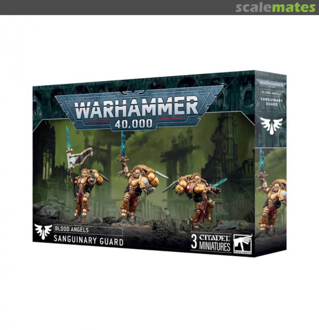 Boxart Sanguinary Guard 41-31 Games Workshop