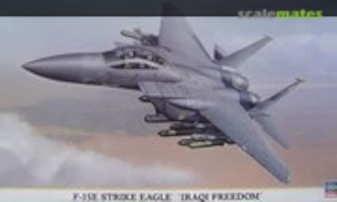 1:72 F-15E Strike Eagle `Iraqi Freedom´ (Hasegawa 00841)