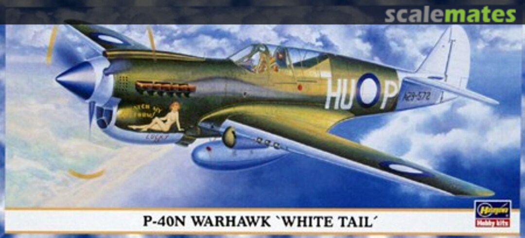 Boxart P-40N Warhawk 'White Tail' 00703 Hasegawa