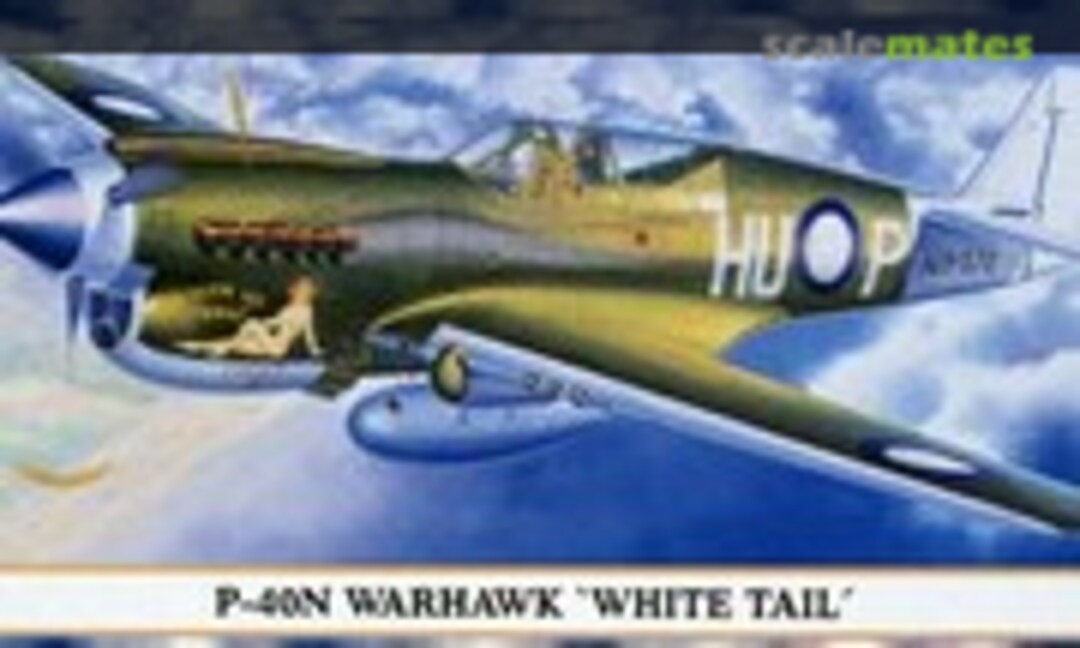 1:72 P-40N Warhawk 'White Tail' (Hasegawa 00703)