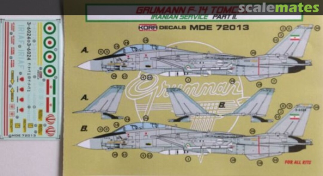 Boxart Grumman F-14 Tomcat MDE72013 Kora Models