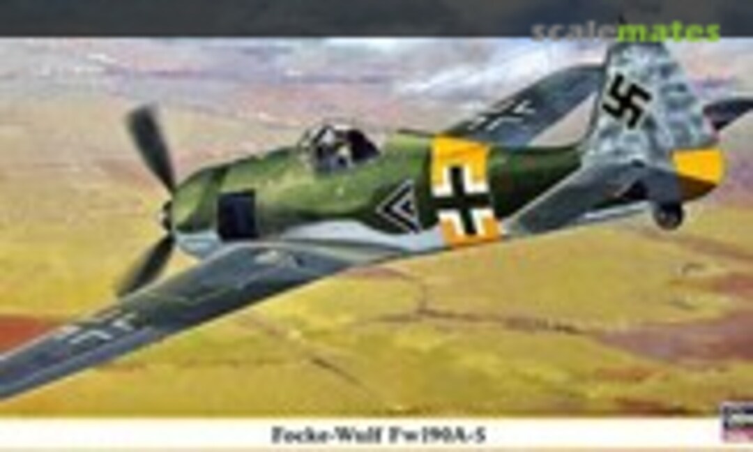 1:48 Focke-Wulf Fw190A-5 (Hasegawa 09798)