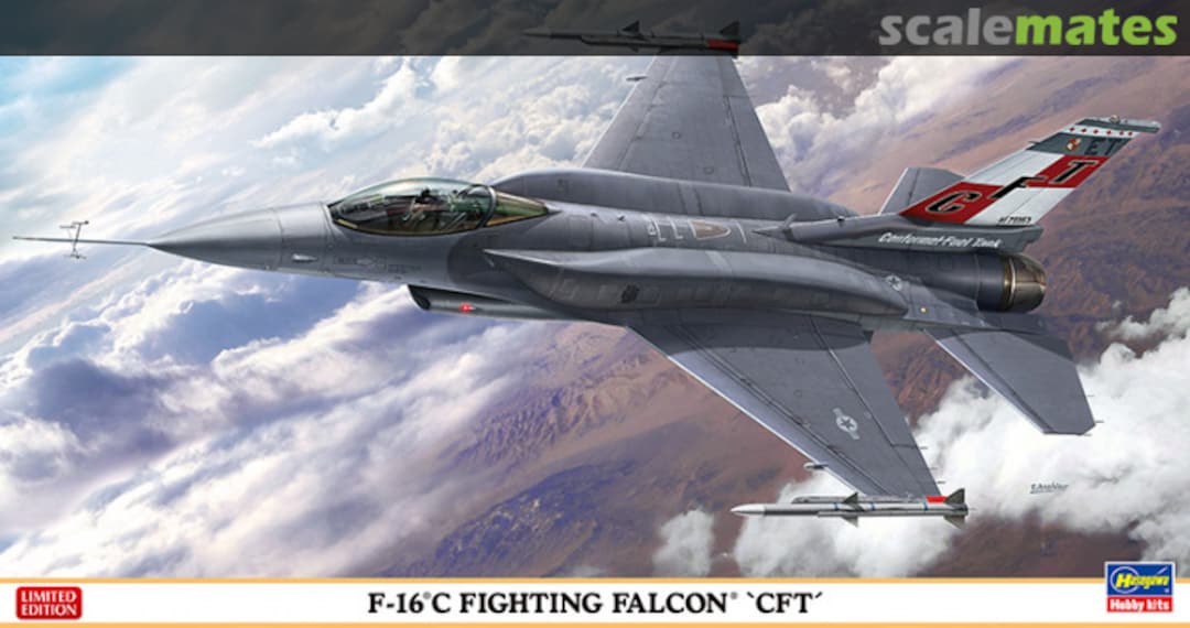 Boxart F-16C Fighting Falcon `CFT´ 07429 Hasegawa