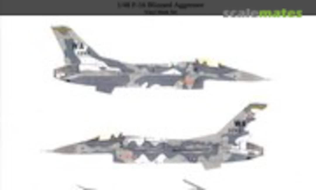 1:48 F-16 Blizzard Aggressor (Steel Beach 85012)