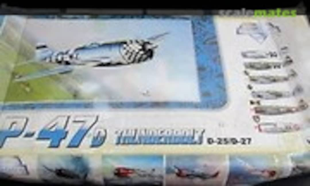 1:24 P-47D Thunderbolt D-25/D-27 (Vintage Fighter Series VF2404)