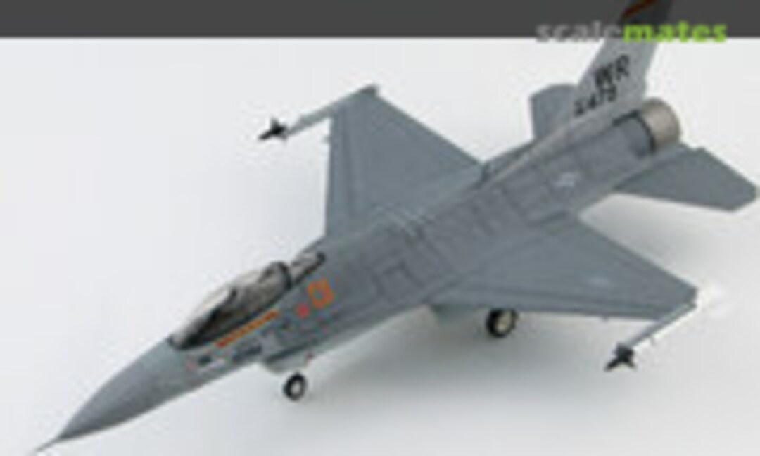 Lockheed F-16C Fighting Falcon (Hobby Master HA3821)