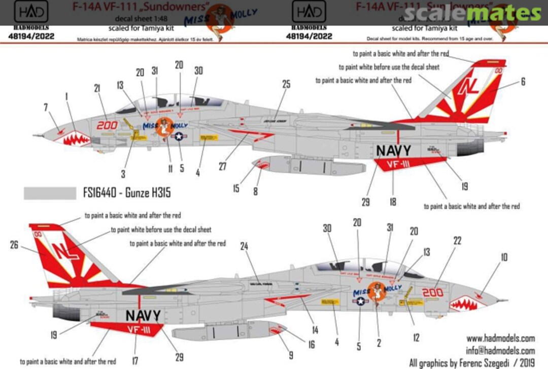 Boxart F-14A Tomcat VF-111 "Sundowners" 48194 HADmodels 