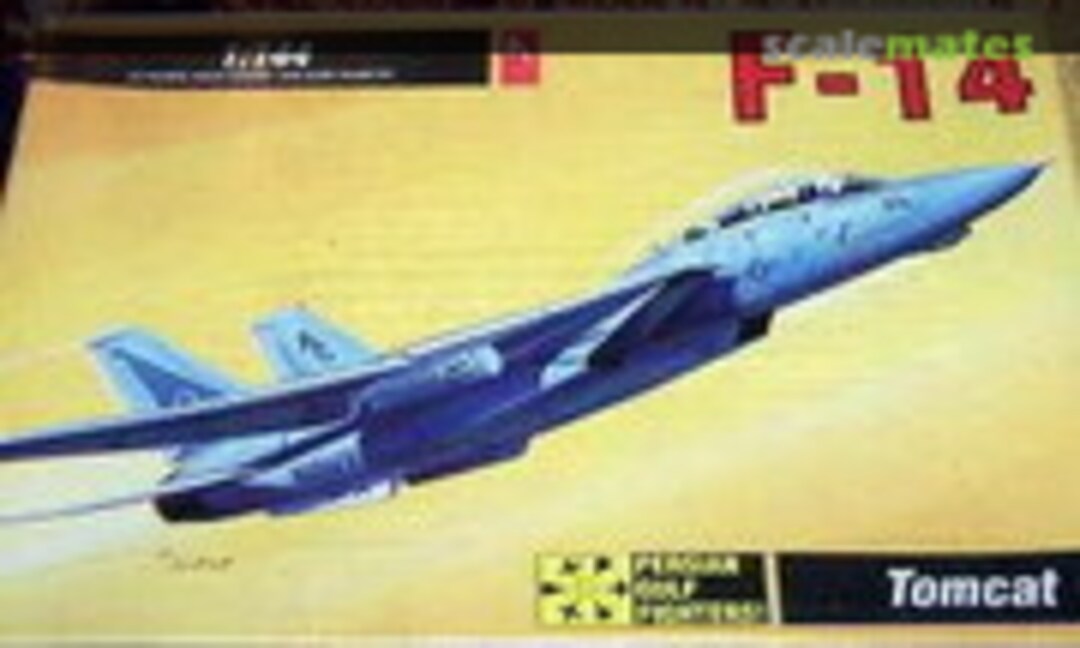 1:144 F-14 Tomcat (Hobbycraft HC1002)