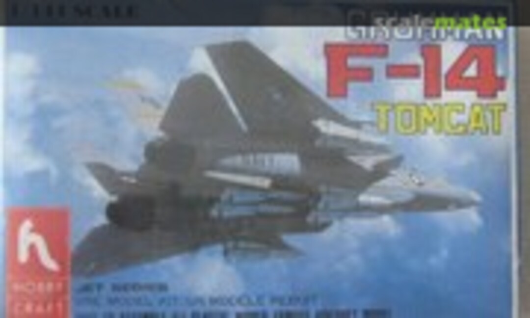 F-14 Tomcat (Hobbycraft HC1002)