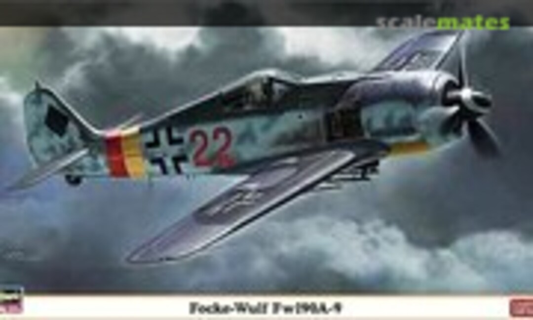 1:48 Focke-Wulf Fw190A-9 (Hasegawa 07312)