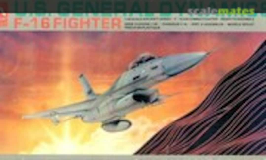 1:48 F-16 Fighter (Hobbycraft HC1510)