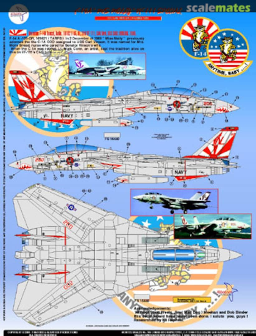 Boxart F-14A "Miss Molly" VF-111Special  Albatros Modelworks