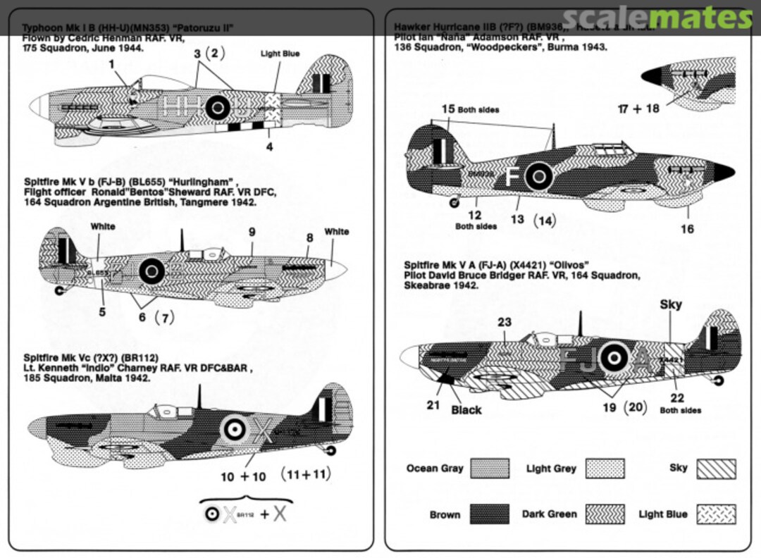 Boxart Argentine Warriors in the RAF I. 72011 Condor Decals