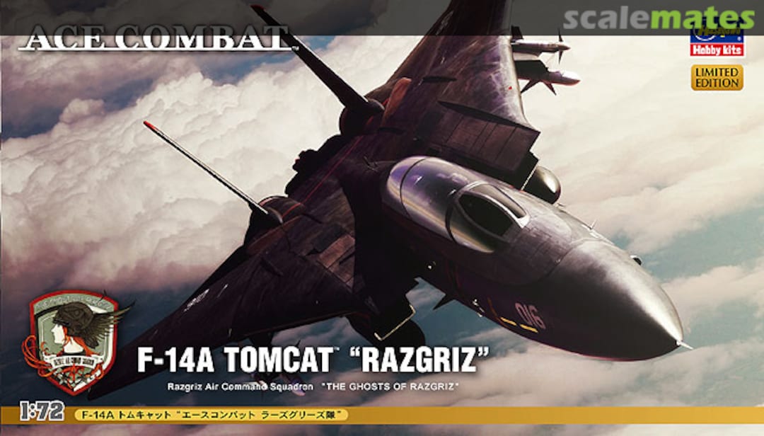 Boxart F-14A Tomcat "Razgriz" 52113 Hasegawa