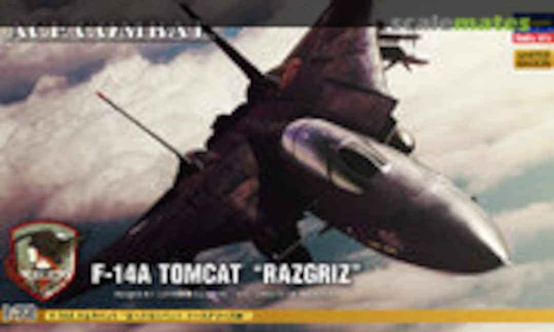 1:72 F-14A Tomcat &quot;Razgriz&quot; (Hasegawa 52113)