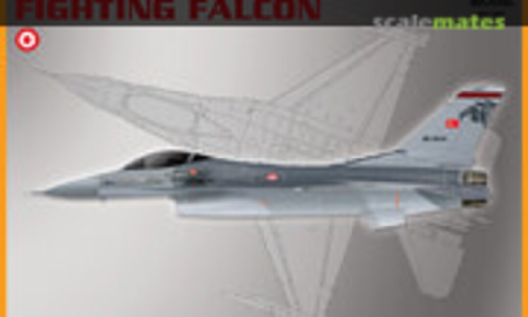 1:72 F-16 Fighting Falcon (PM Model PM-301)