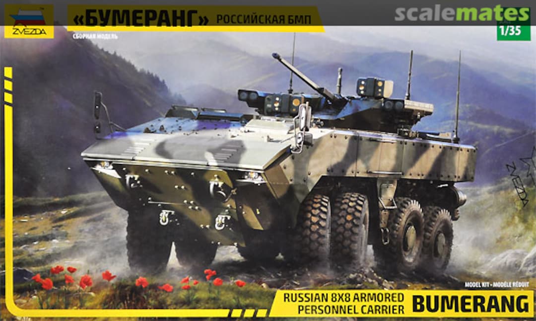 Boxart Bumerang 3696 Zvezda