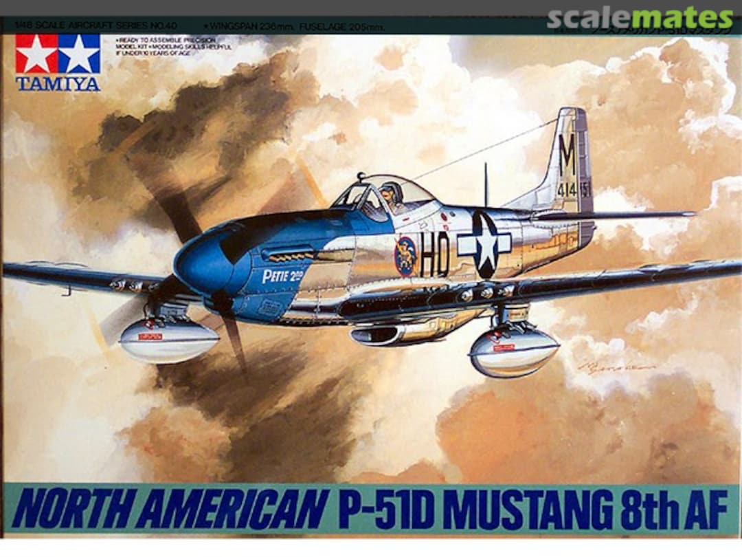 Boxart North American P-51D Mustang 8th AF 89534 Tamiya