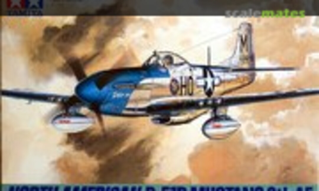 1:48 North American P-51D Mustang 8th AF (Tamiya 89534)