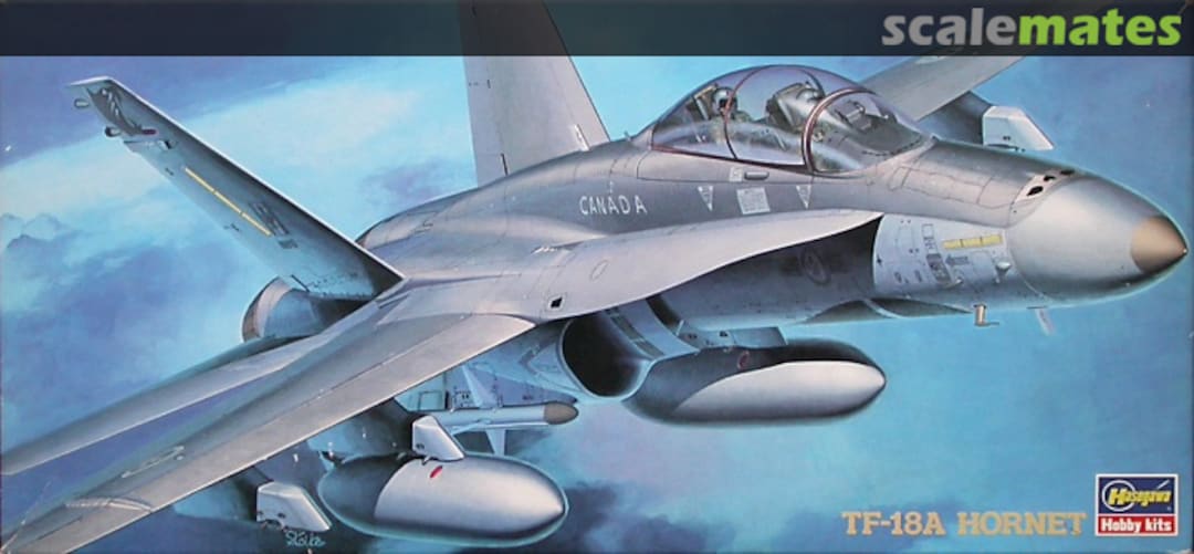 Boxart TF-18A Hornet 02811 Hasegawa