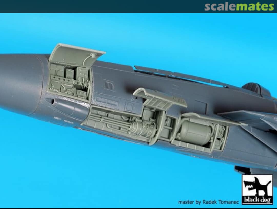 Boxart F-14D Left Electronics + Canon A48100 Black Dog