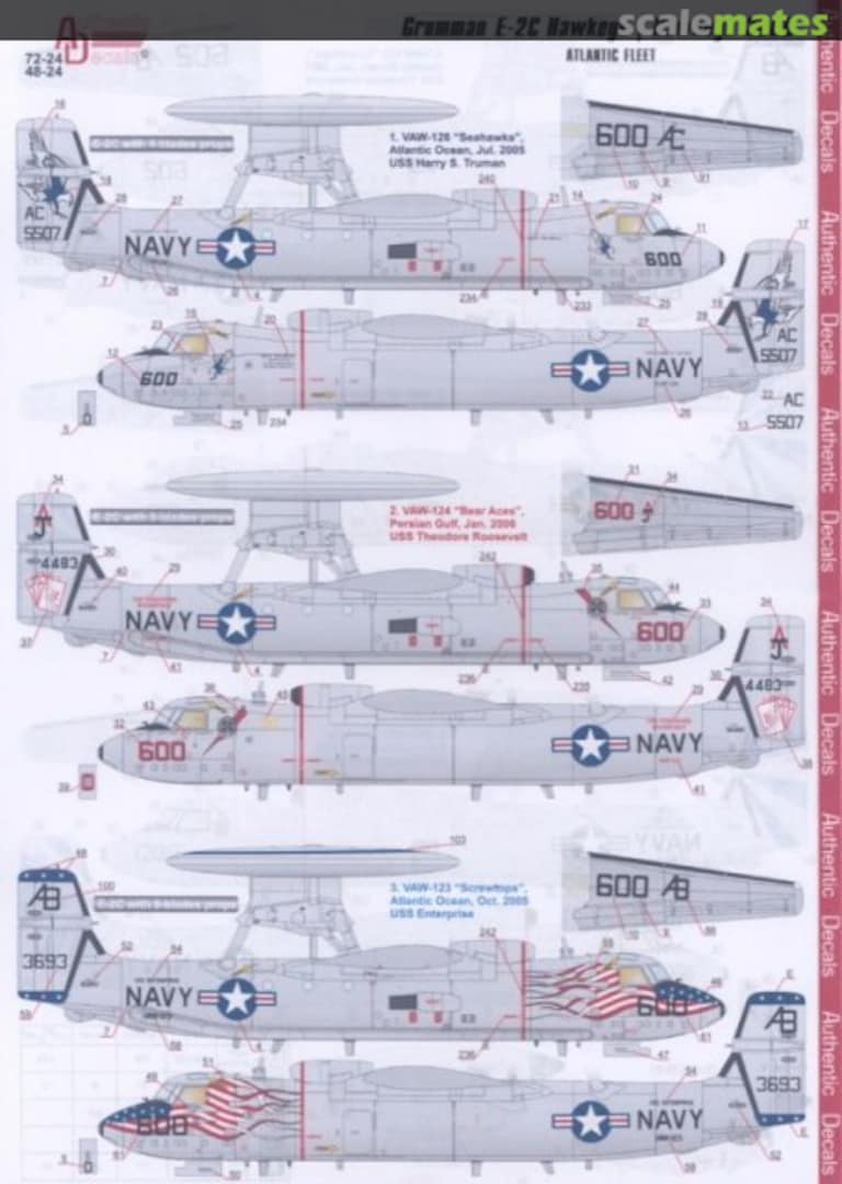 Boxart Grumman E-2C Hawkeye 2000 48-24 Authentic Decals