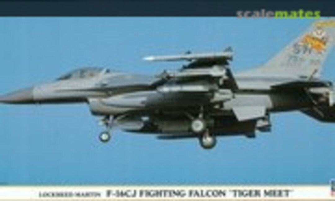 1:48 F-16CJ Fighting Falcon `Tiger Meet` (Hasegawa 09438)