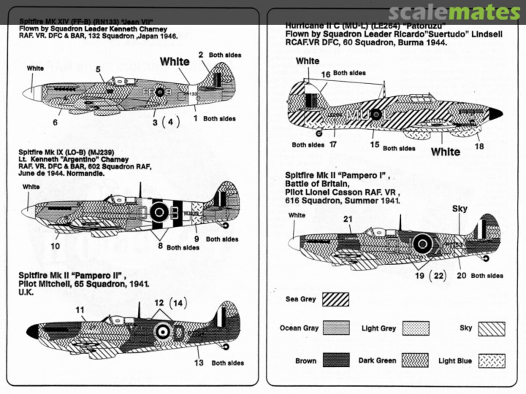 Boxart Argentine Warriors in the RAF II. 72012 Condor Decals