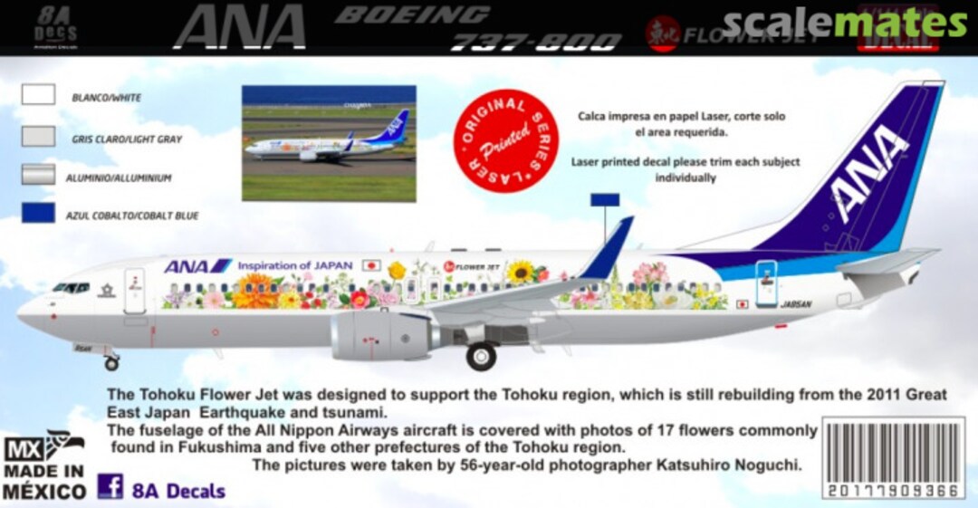 Boxart ANA Boeing 737-800 Flowerjet 7909-366-72 8aDecs