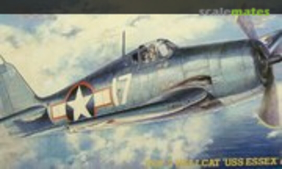 1:48 F6F-3 Hellcat (Hasegawa 09134)