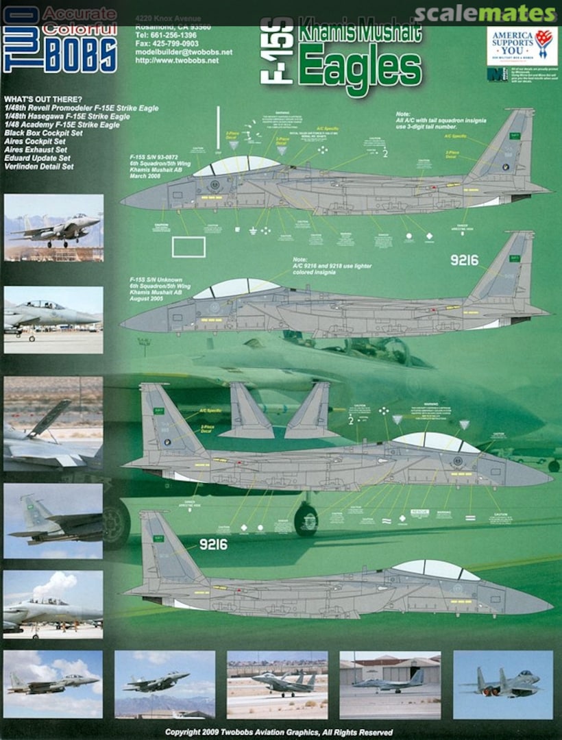 Boxart F-15S Khamis Mushait Eagles 48-203 TwoBobs Aviation Graphics