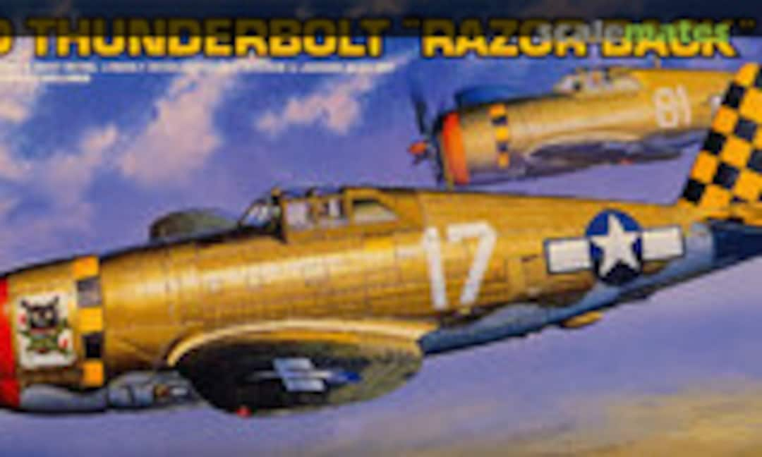 1:72 P-47D Thunderbolt &quot;Razor-back&quot; (Academy 2175)