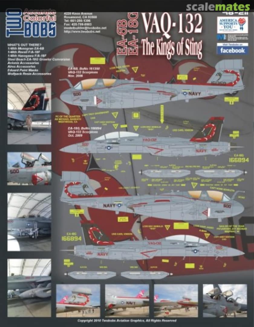 Boxart EA-6B/EA-18G VAQ-132 The Kings Of Sting 48-211 TwoBobs Aviation Graphics