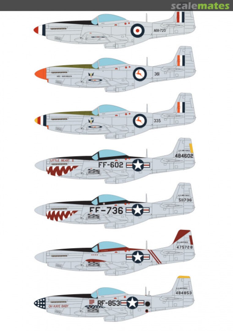 Boxart Korean War Mustangs 48D026 AIMS