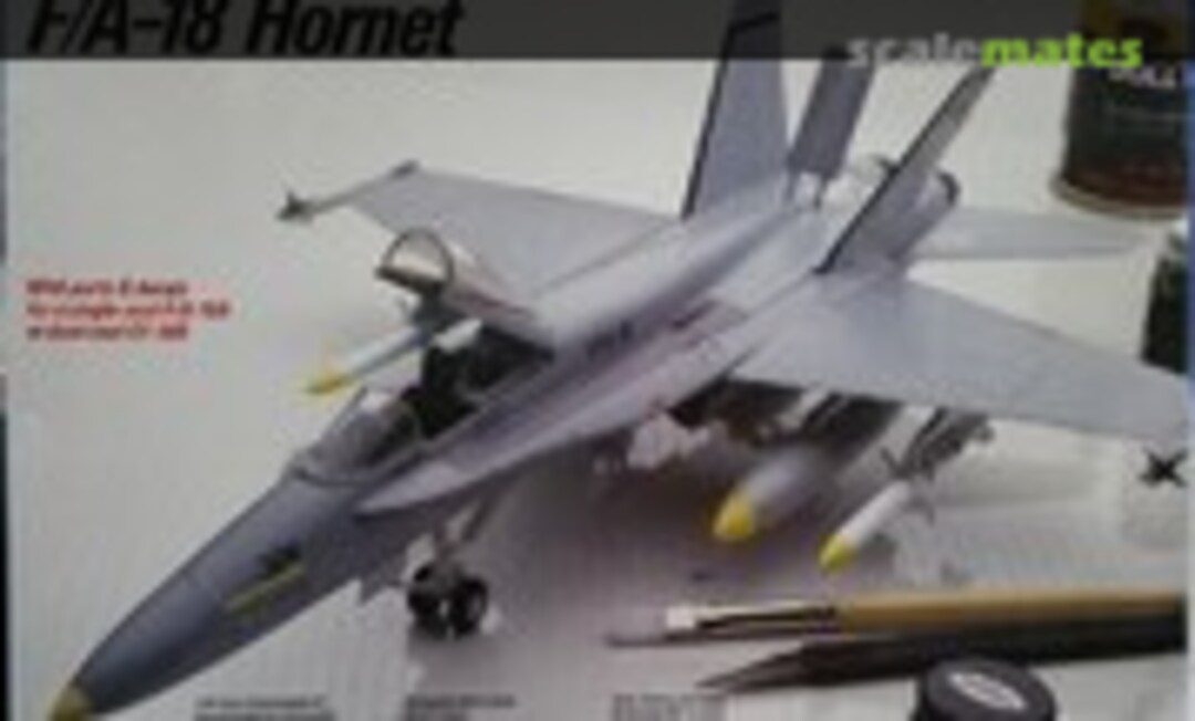 1:48 F/A-18 Hornet (Testors 579)